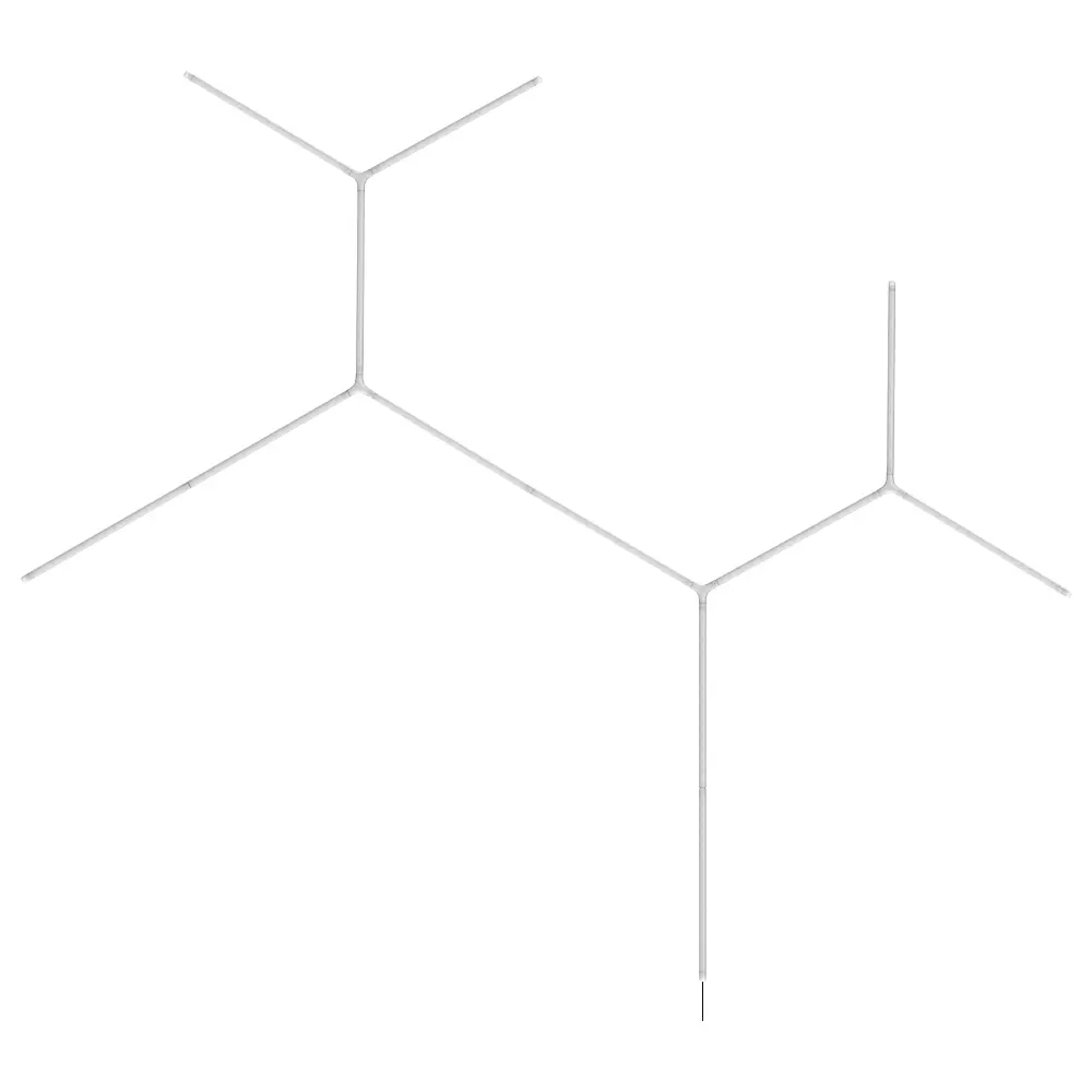 2.webp