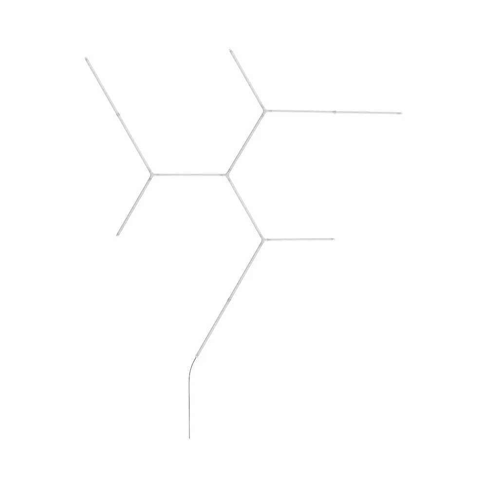 5.webp
