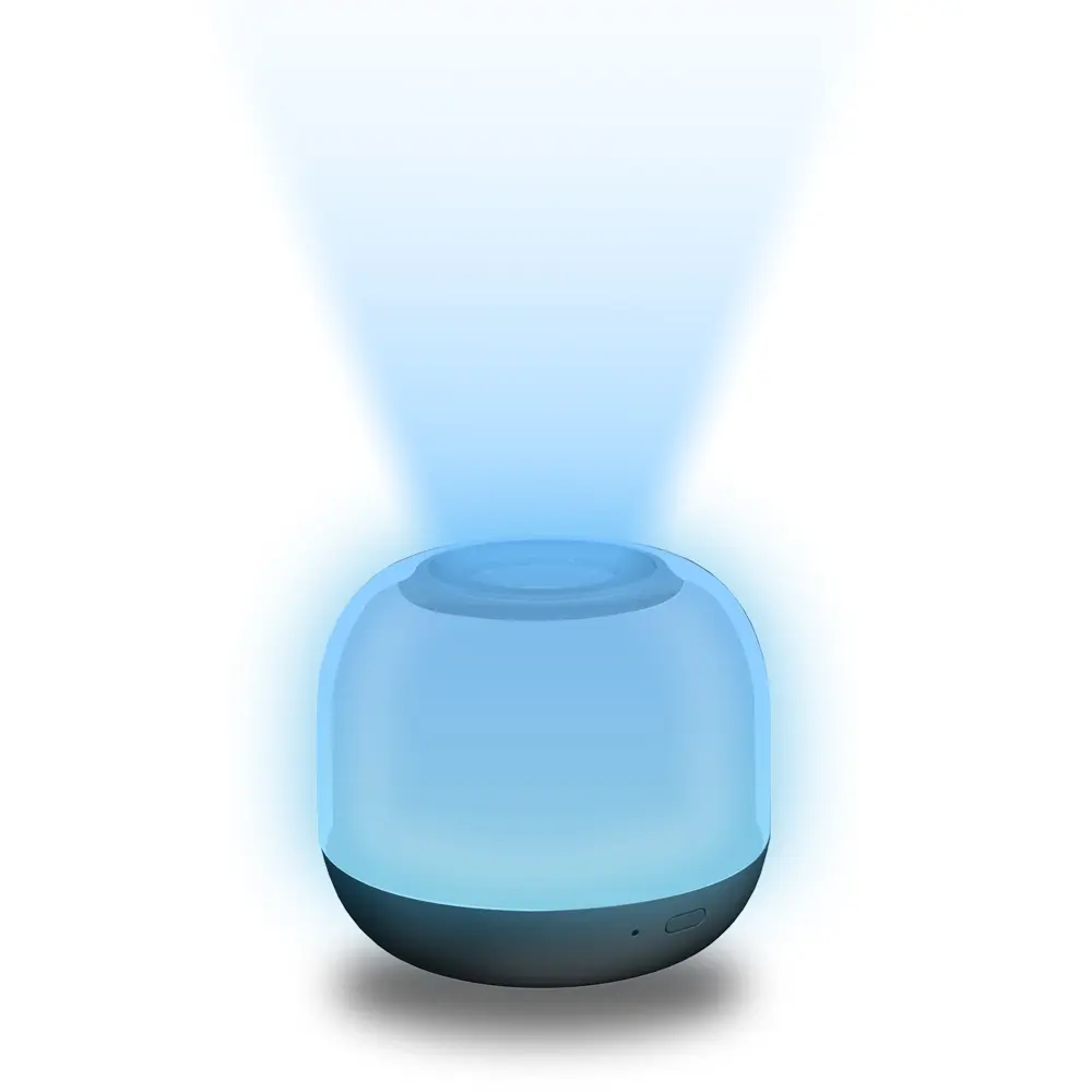 3.webp